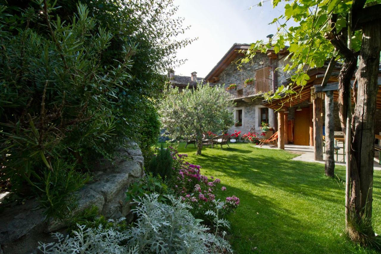 La Maison Des Vignerons Chambres D'Hotes B&B Donnaz المظهر الخارجي الصورة
