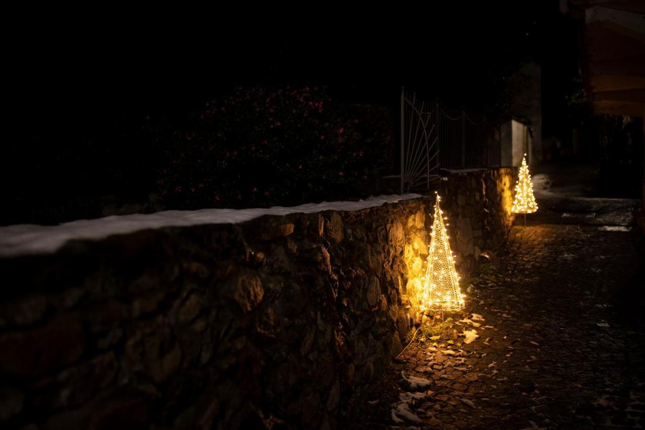La Maison Des Vignerons Chambres D'Hotes B&B Donnaz المظهر الخارجي الصورة